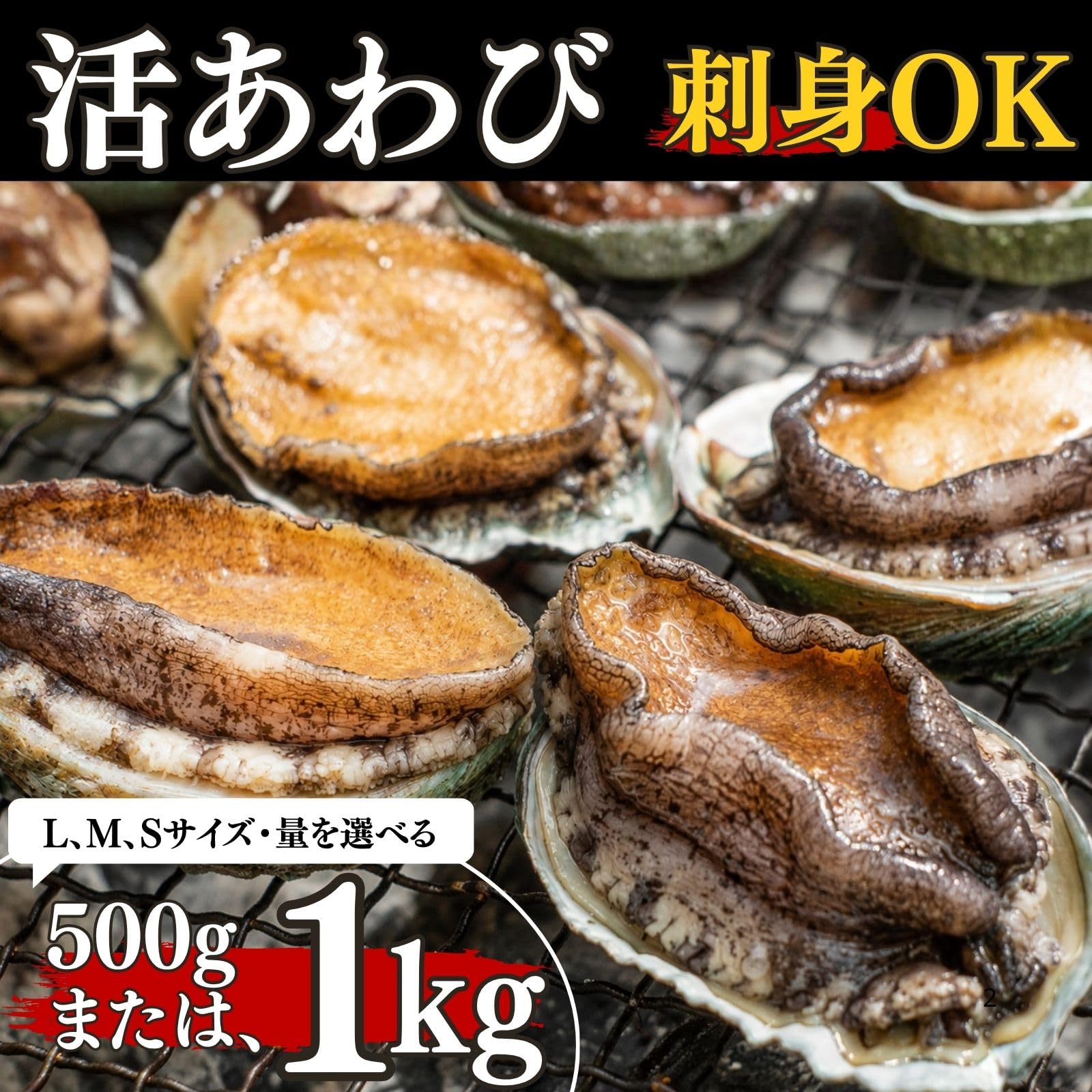Amazon.co.jp: 生きたまま直送 活あわび 殻付 Lサイズ・1㎏ (90-100g
